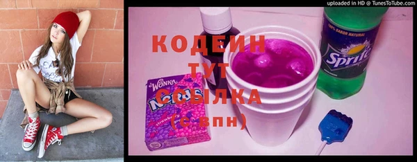 индика Нея