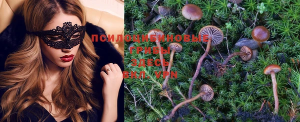 гашиш Новозыбков