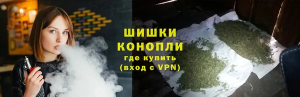 индика Нея