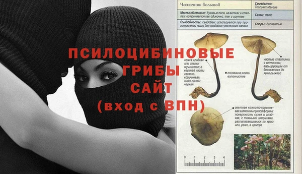 индика Нея