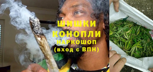 PSILOCYBIN Новодвинск