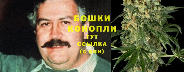 PSILOCYBIN Новодвинск