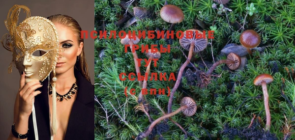 PSILOCYBIN Новодвинск