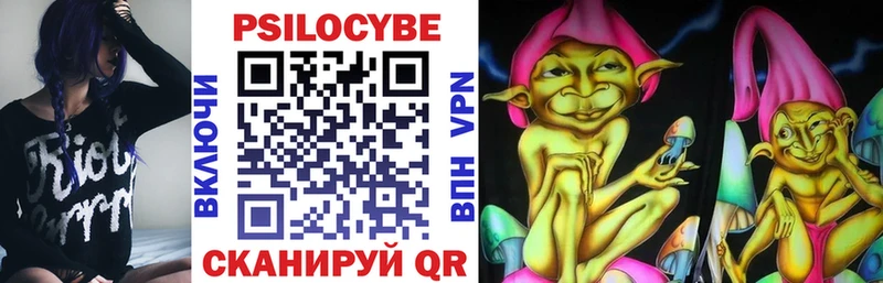 купить   Малая Вишера  Псилоцибиновые грибы ЛСД 